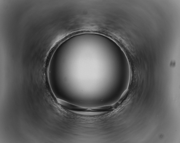 X0000098081168200804041142