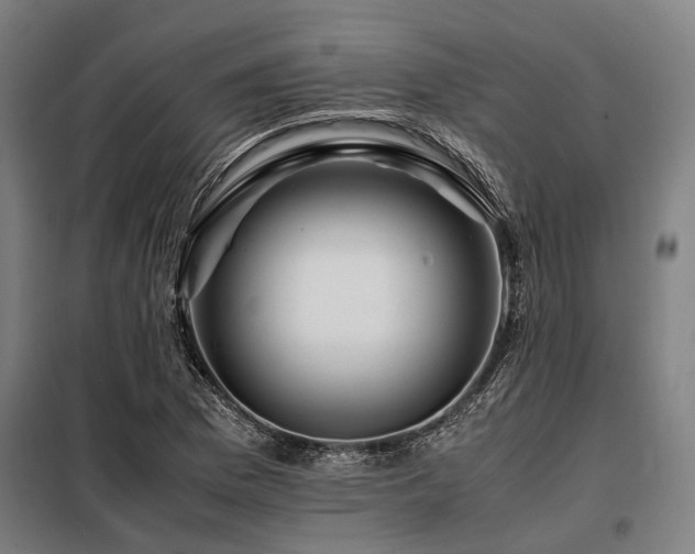 X0000098081169200804041142