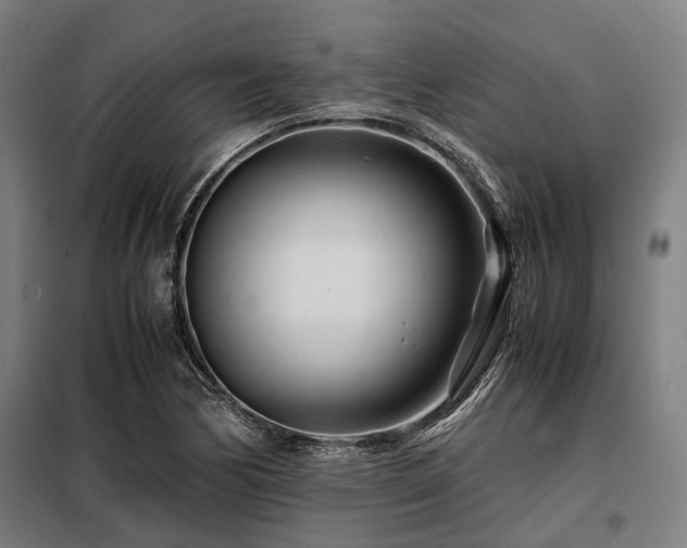 X0000098081170200804041142