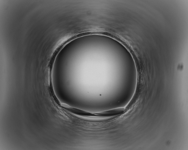 X0000098081171200804041142