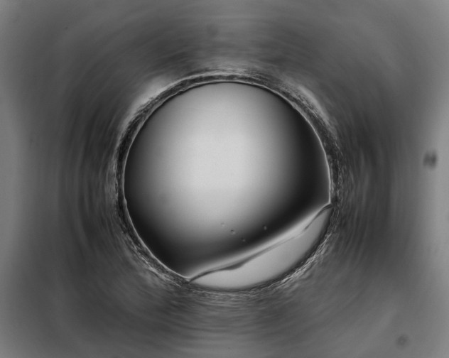 X0000098081172200804041142