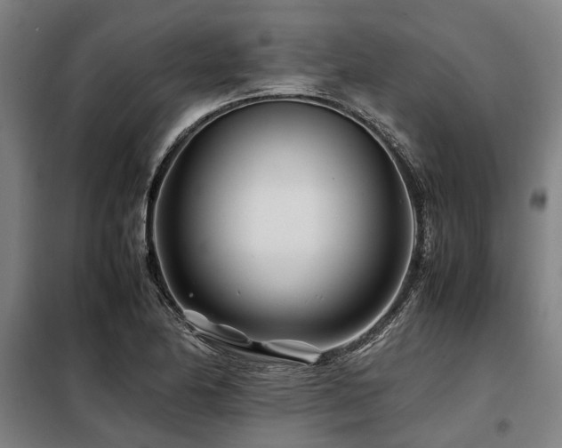 X0000098081174200804041142