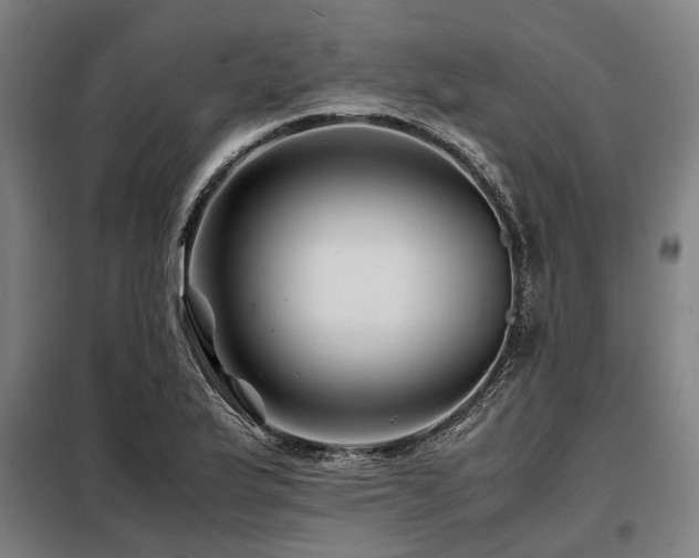 X0000098081175200804041142