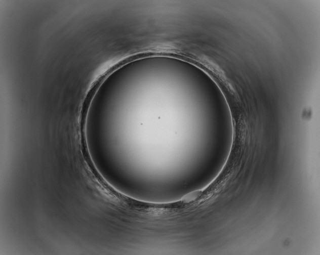 X0000098081176200804041142