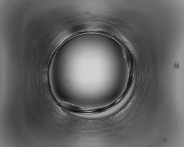 X0000098081177200804041142