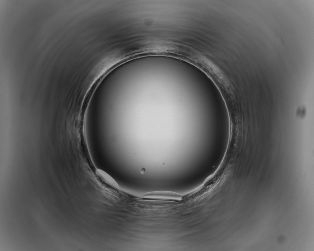 X0000098081178200804041142