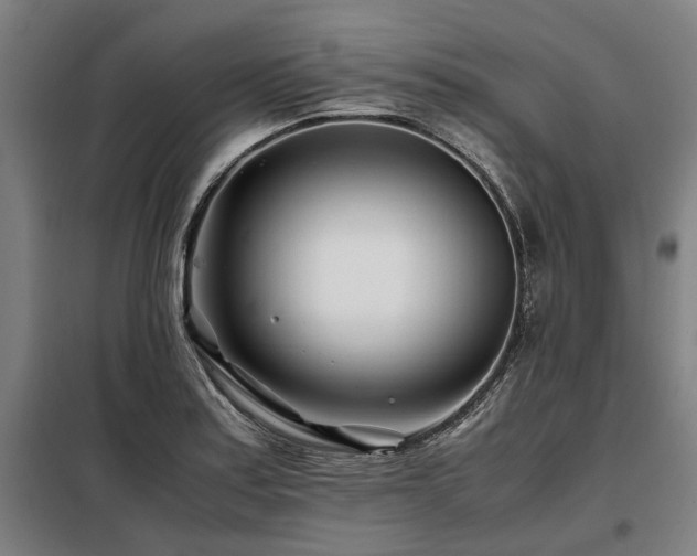 X0000098081179200804041142