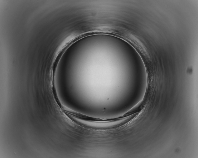 X0000098081180200804041141