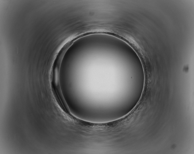 X0000098081181200804041141