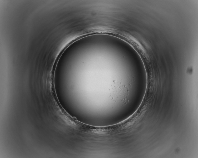X0000098081182200804041141