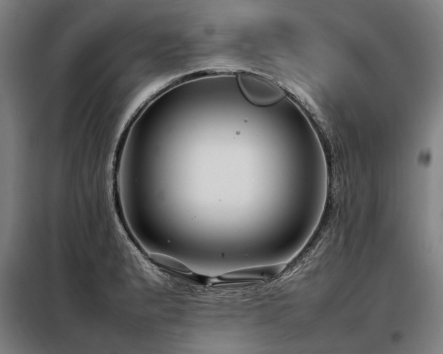 X0000098081183200804041141