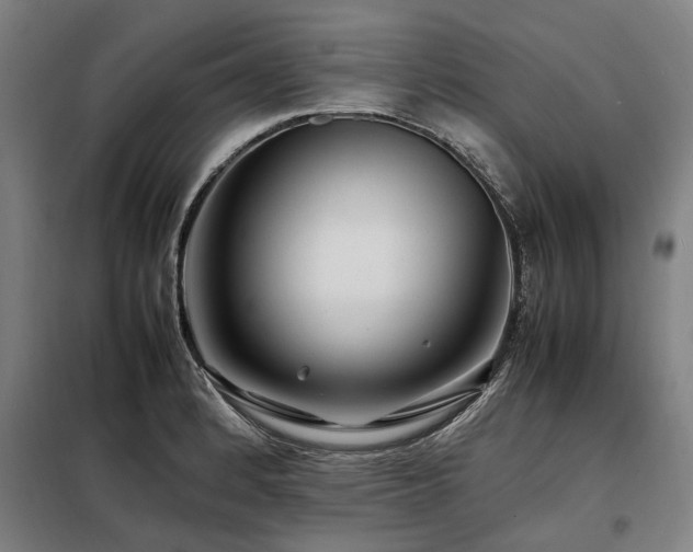 X0000098081184200804041141