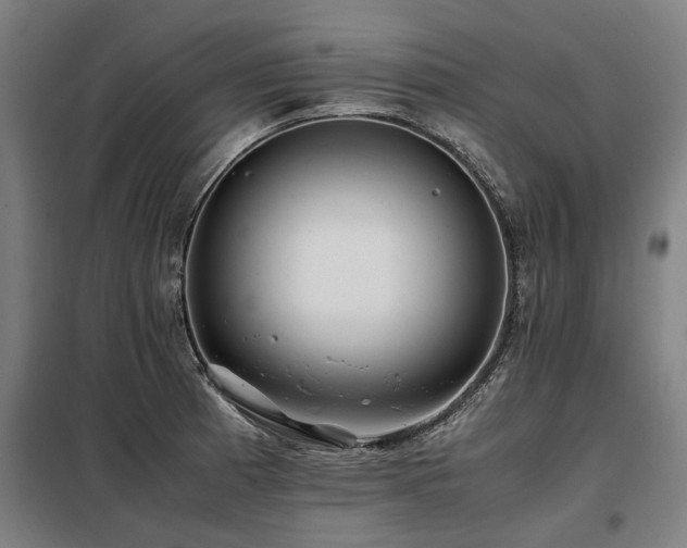 X0000098081185200804041141
