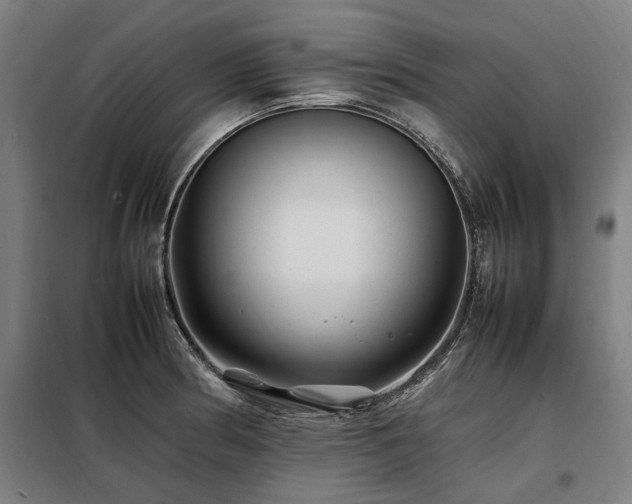 X0000098081186200804041141