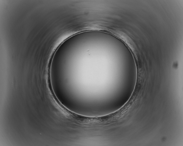 X0000098081187200804041141