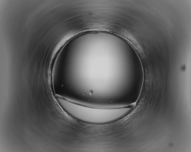 X0000098081188200804041141