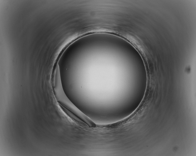 X0000098081189200804041141