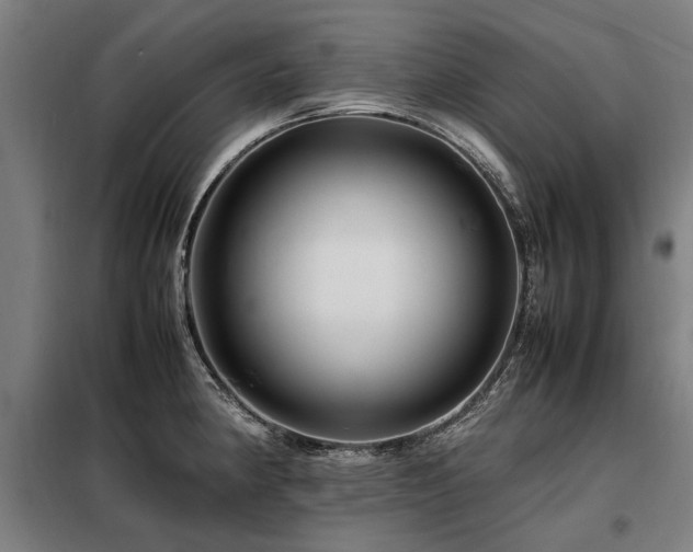 X0000098081190200804041141