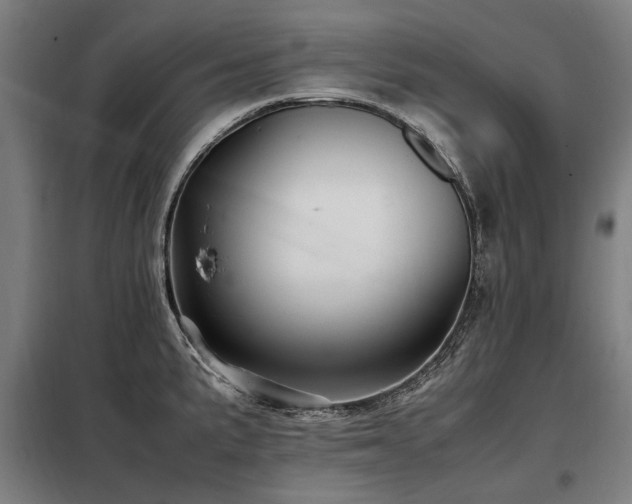 X0000098081191200804041141