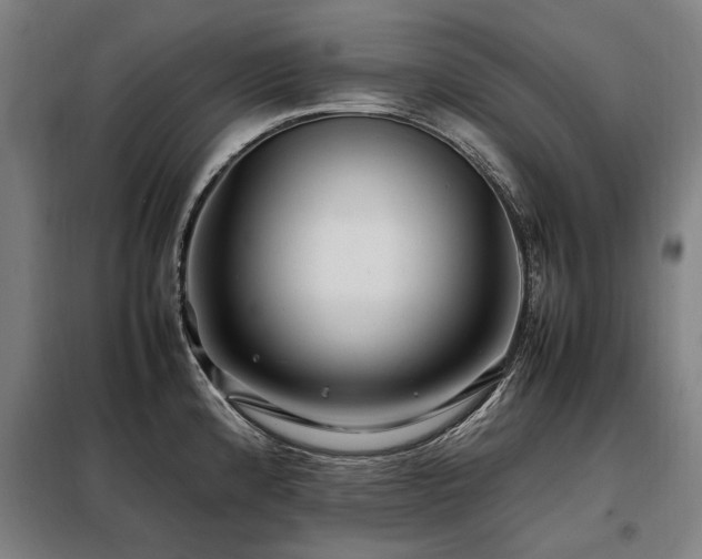 X0000098081192200804041141