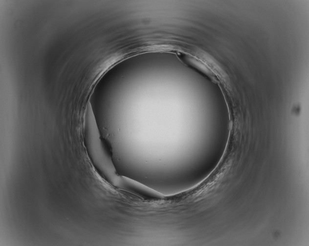 X0000098081193200804041141