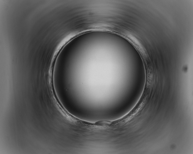 X0000098081196200804041141