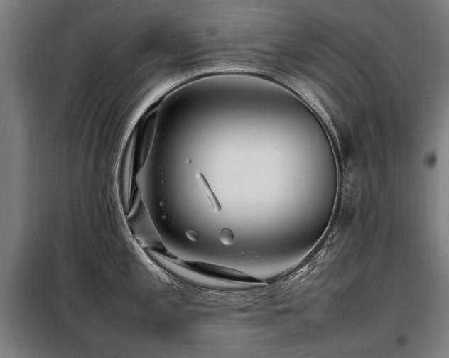 X0000098081197200804041141