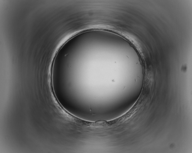 X0000098081199200804041141