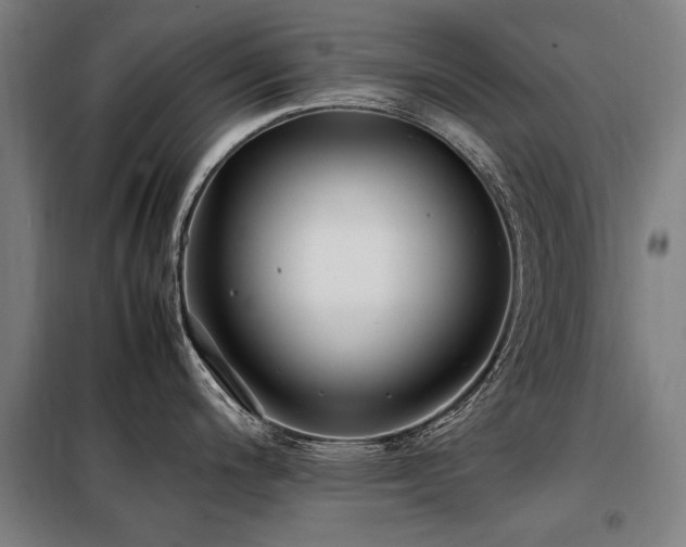 X0000098081200200804041141