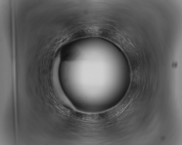 X0000098081201200804041141