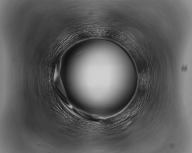 X0000098081202200804041141