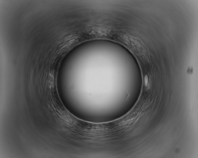 X0000098081203200804041141