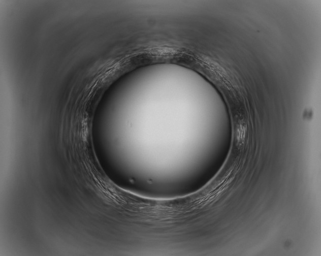 X0000098081204200804041141