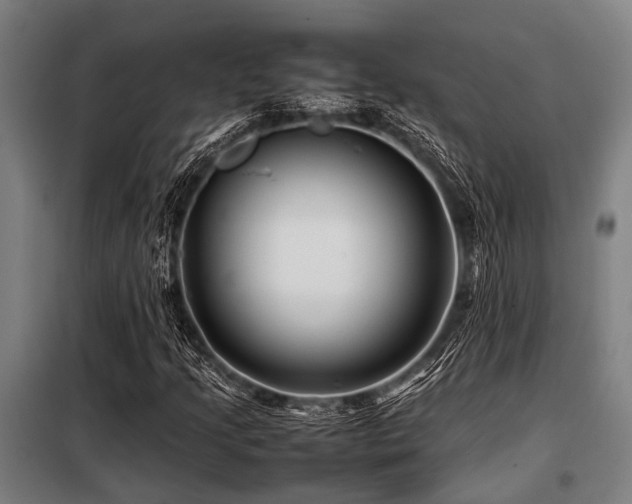 X0000098081205200804041141
