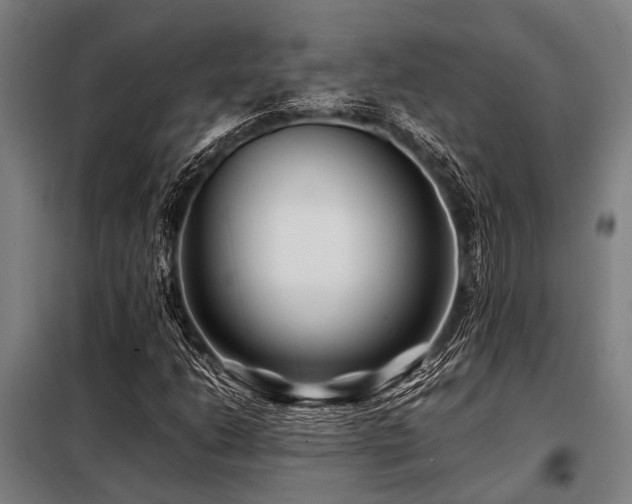 X0000098081206200804041141