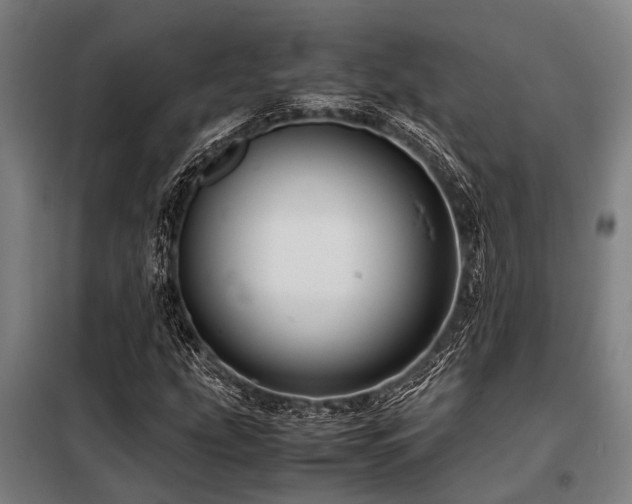 X0000098081207200804041141