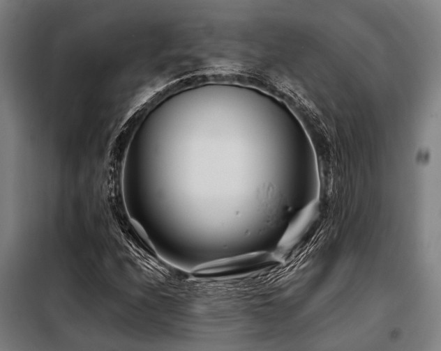 X0000098081208200804041141