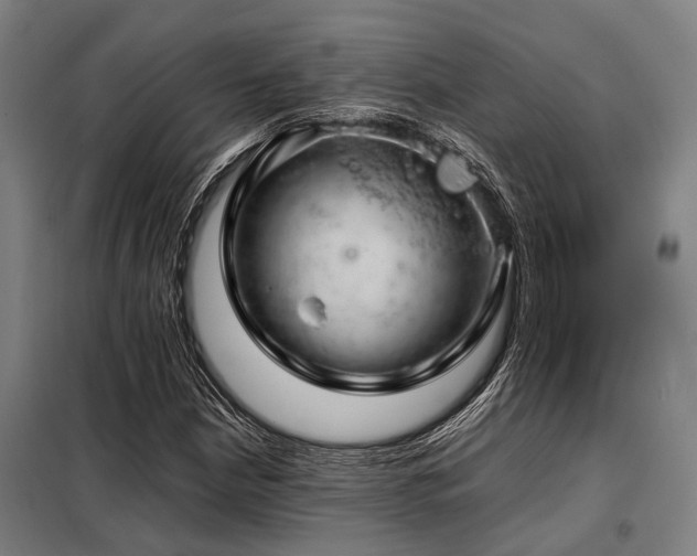 X0000098081210200804041141