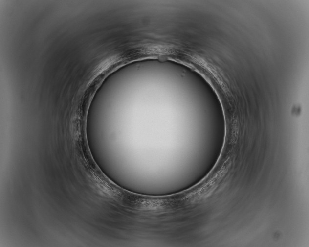 X0000098081211200804041141