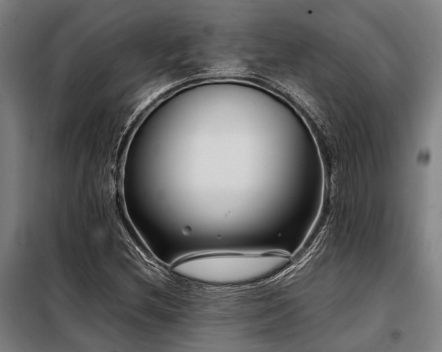 X0000098081212200804041141