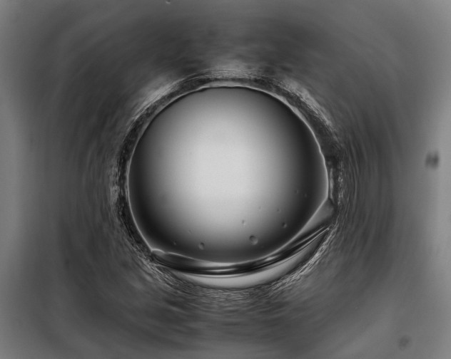 X0000098081213200804041141