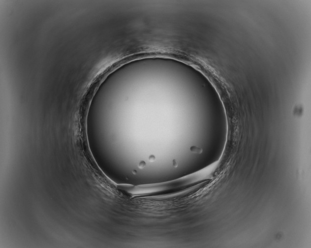 X0000098081215200804041141