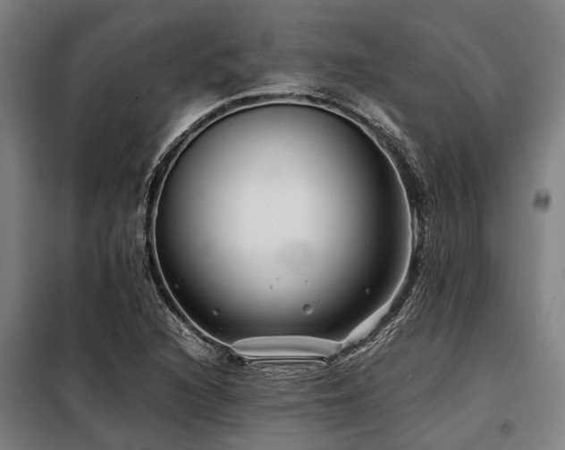 X0000098081216200804041141