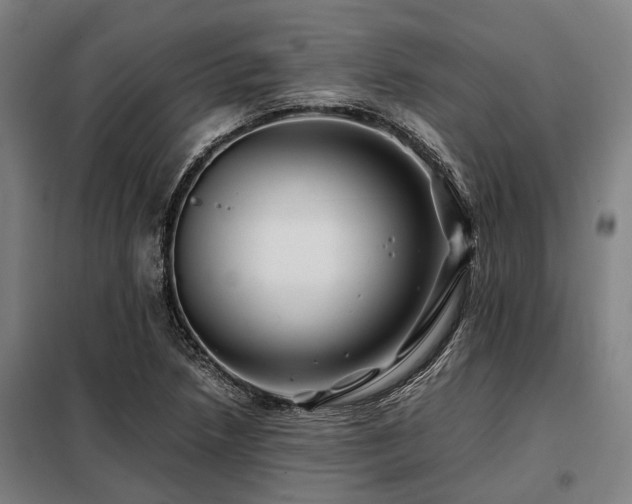 X0000098081218200804041141