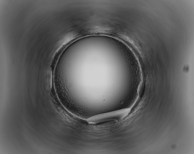 X0000098081219200804041141