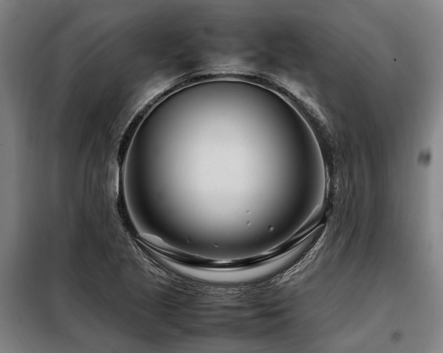 X0000098081221200804041141