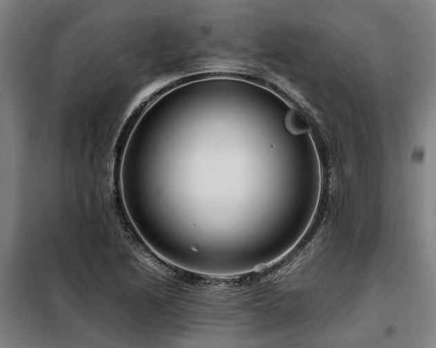 X0000098081222200804041141