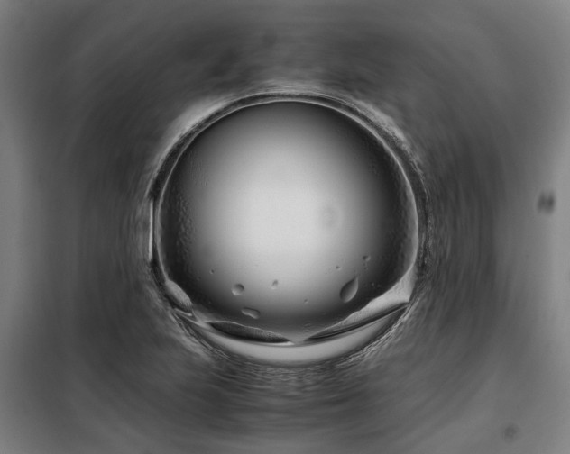 X0000098081223200804041141