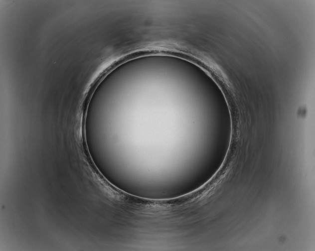 X0000098081224200804041141