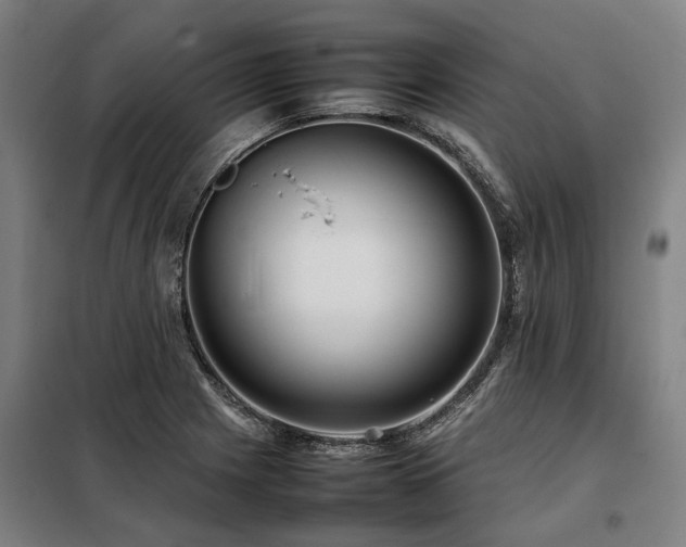 X0000098081225200804041141